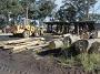 Taree-RoyCrossTimber 057